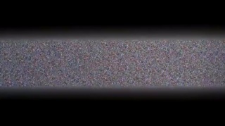 明星伙伴 第8季 最终季致敬纪录片